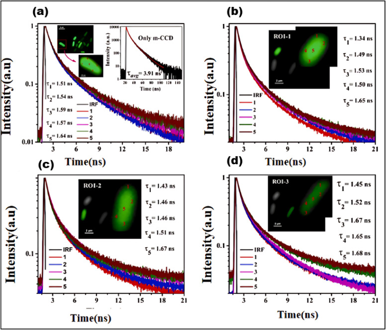Fig. 23