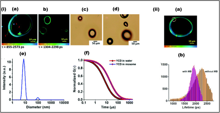 Fig. 31