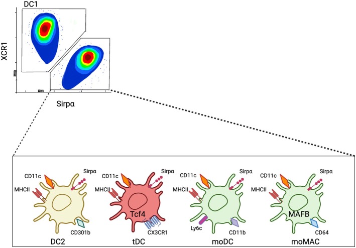 FIGURE 3