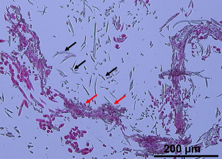 Fig 6
