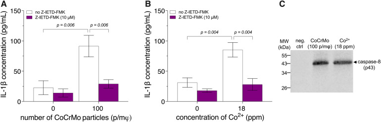 Fig 6