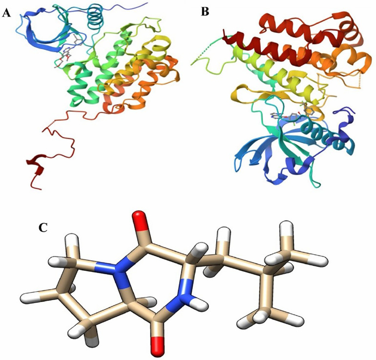 Fig 5