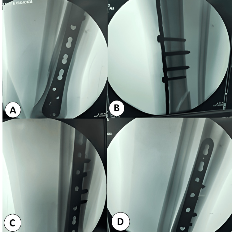 Figure 6