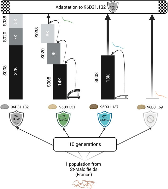 FIGURE 6