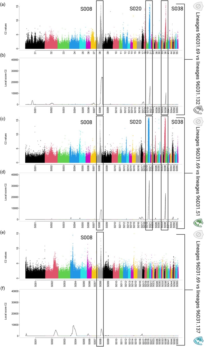 FIGURE 3