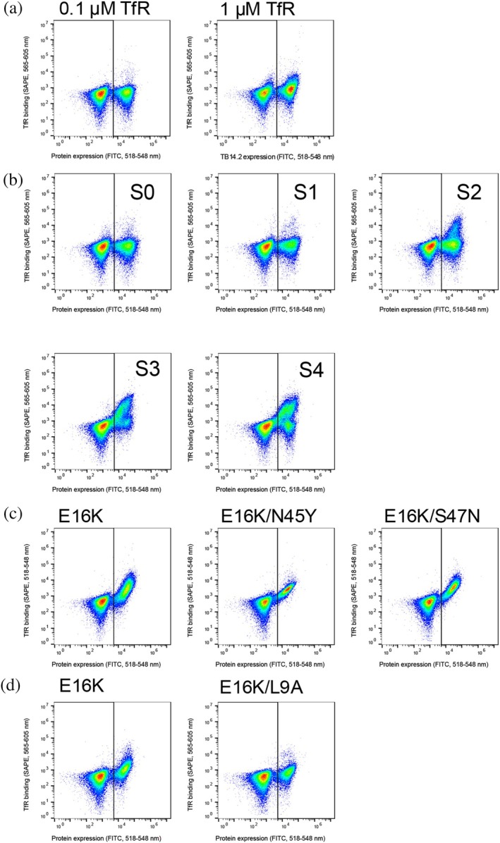 FIGURE 2