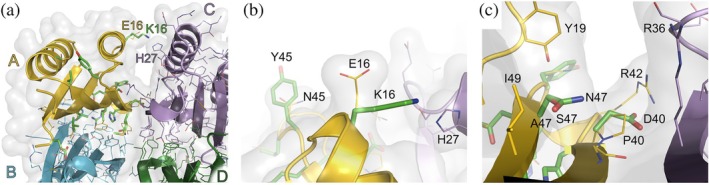 FIGURE 3