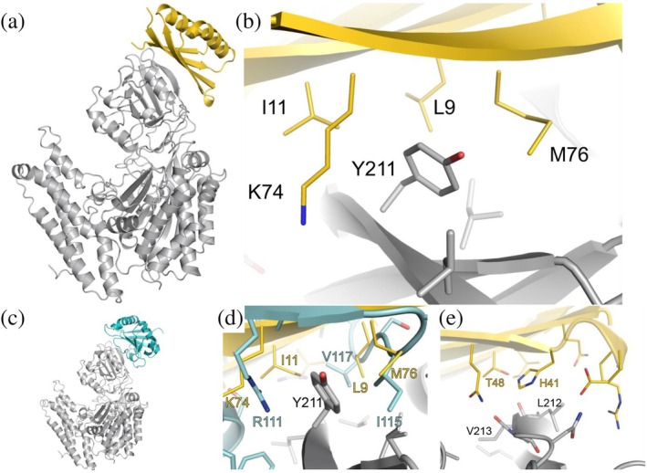 FIGURE 1