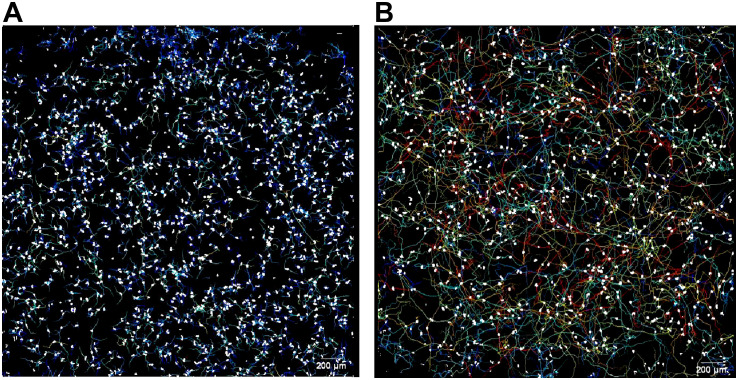 Figure 1