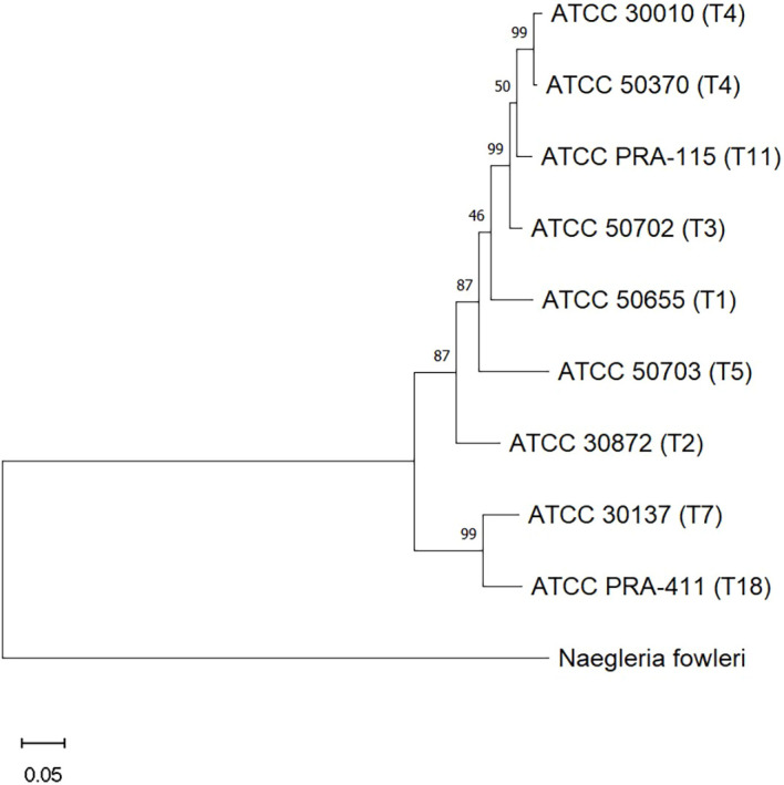 Figure 2