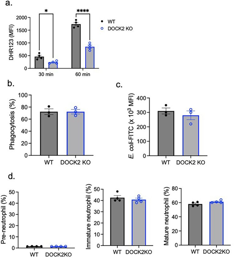 Figure 4