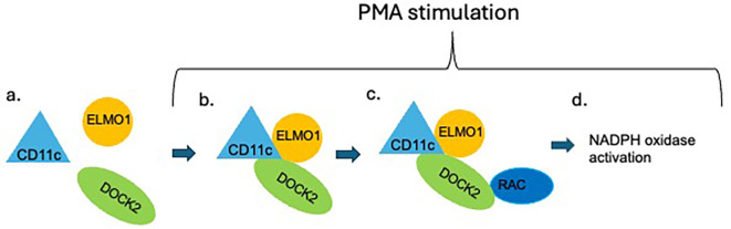 Figure 5