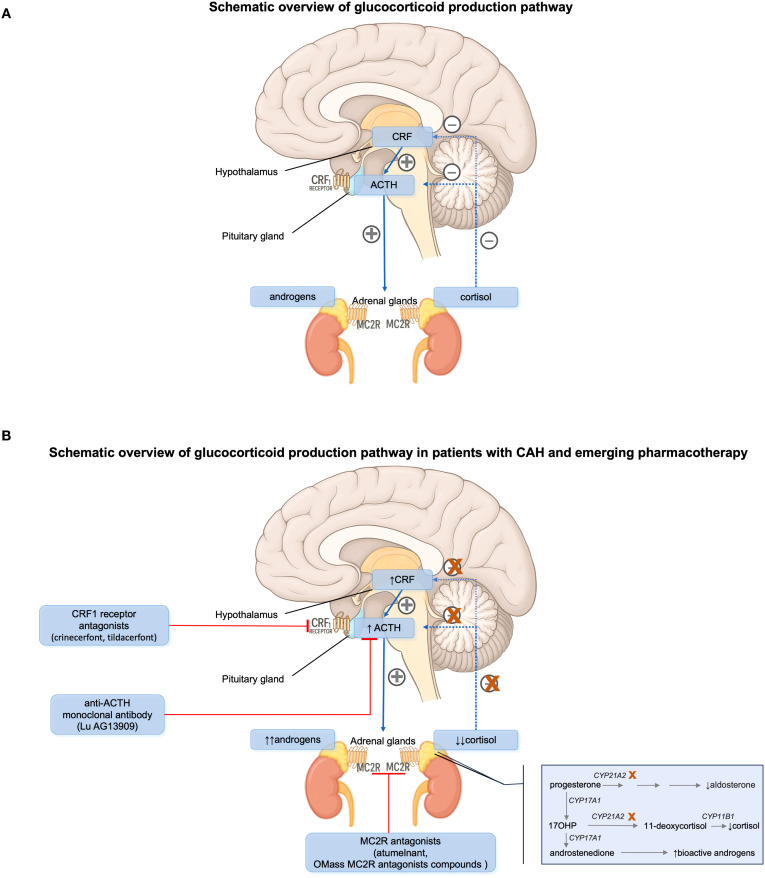 Figure 1
