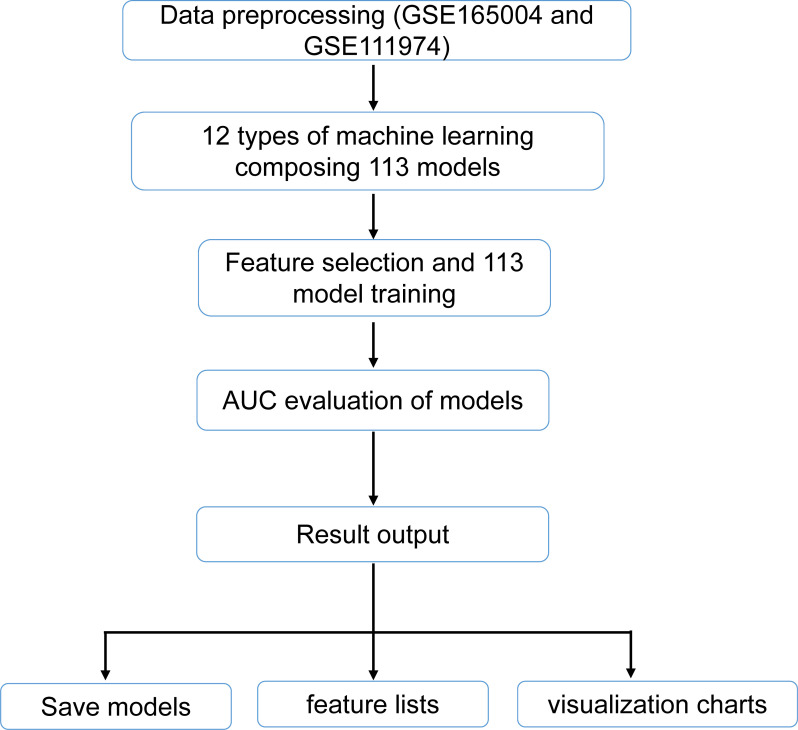 Figure 1