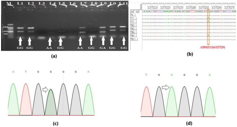 Figure 1