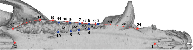 Figure 10