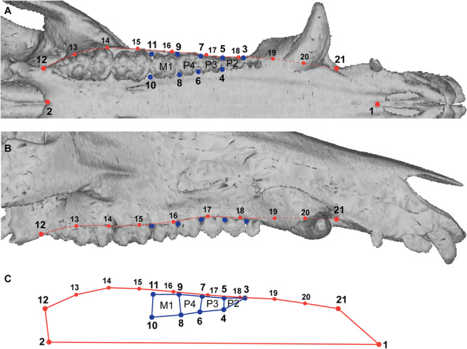 Figure 12