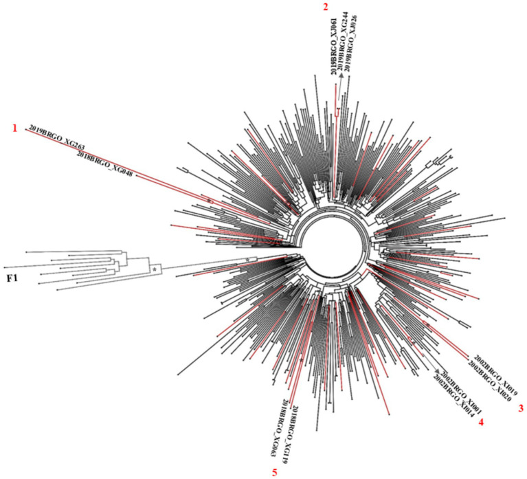 Figure 2