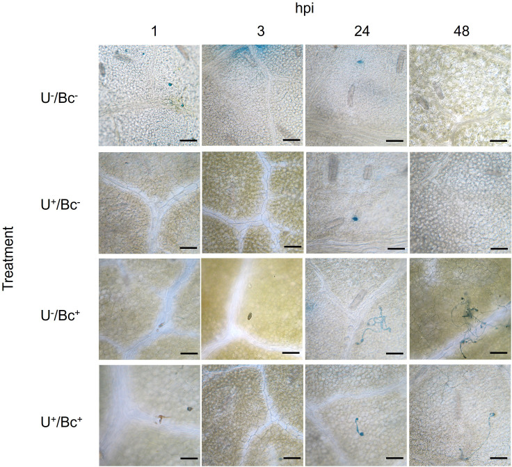 Figure 10