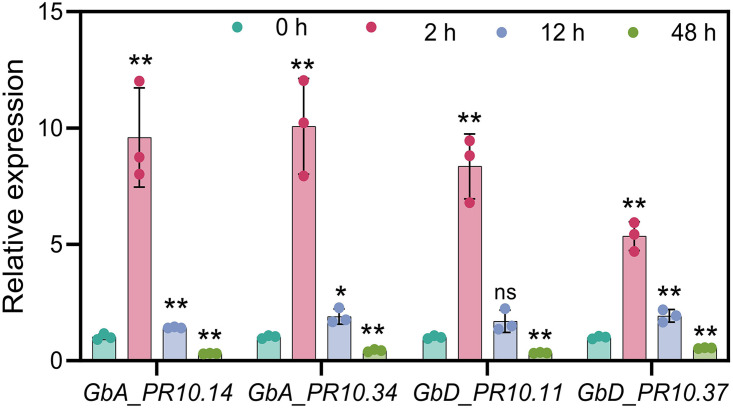 Figure 10