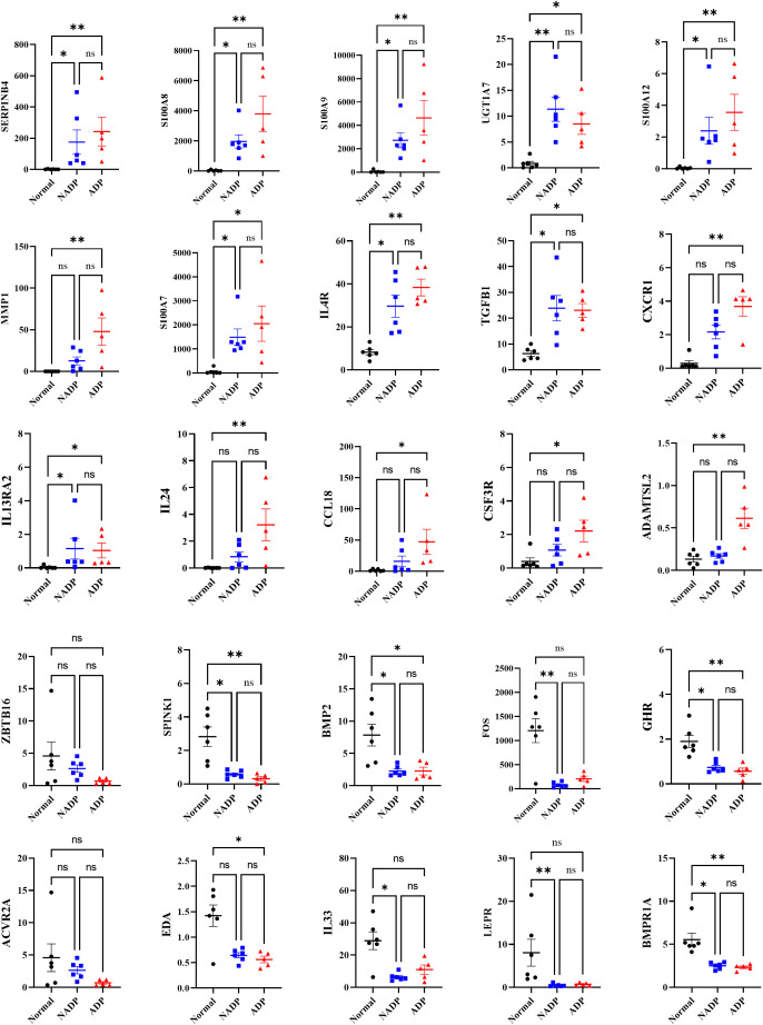 Figure 5
