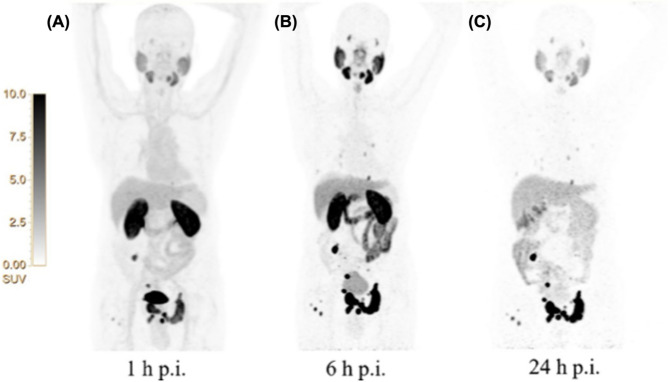 Figure 13