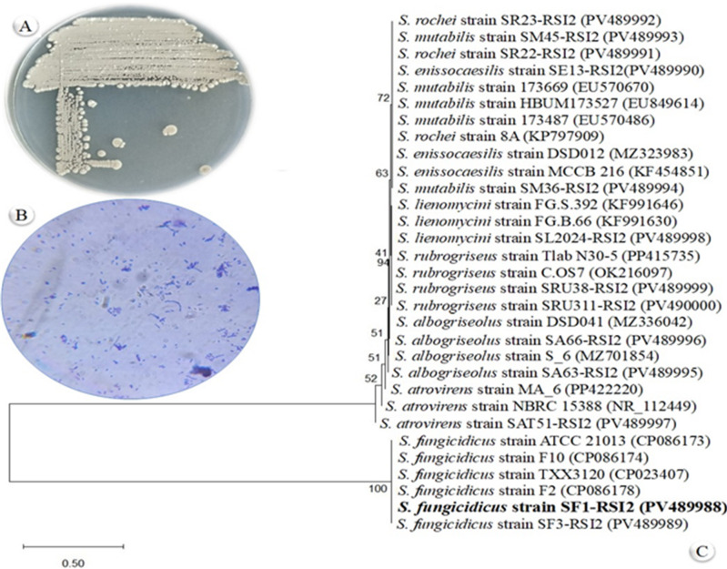 Figure 2