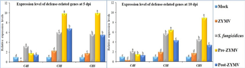 Figure 5