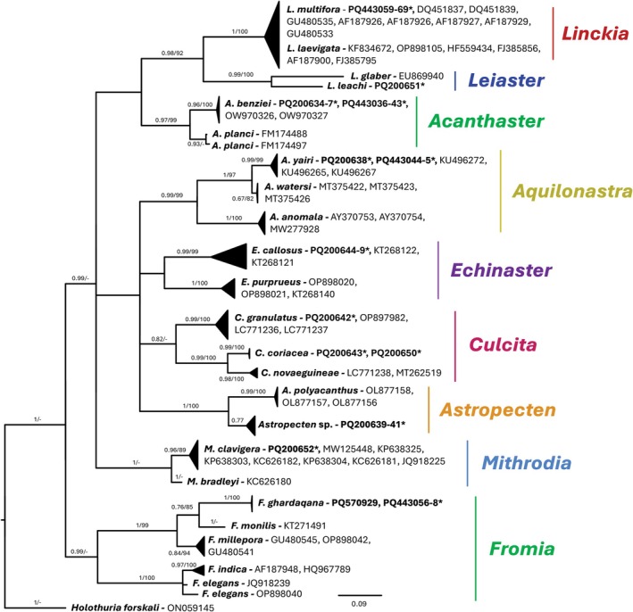 Figure 6