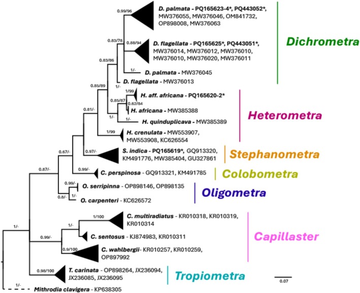 Figure 7