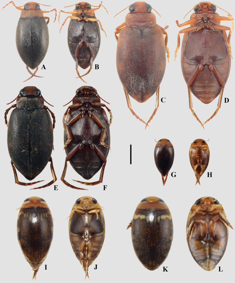 Figure 9