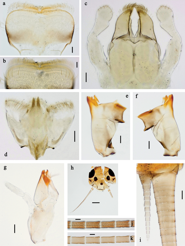Figure 10
