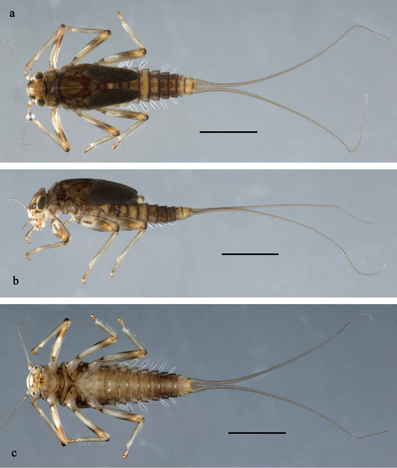 Figure 12