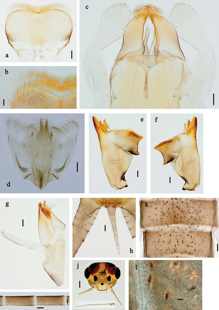 Figure 16