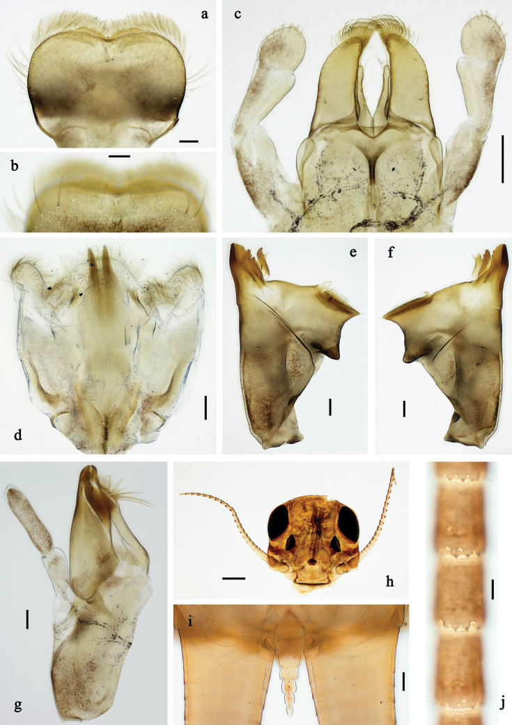Figure 19