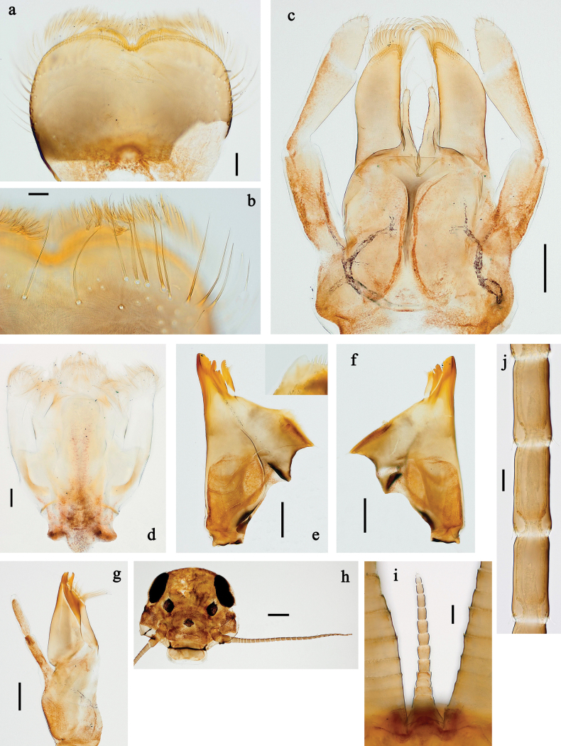 Figure 22