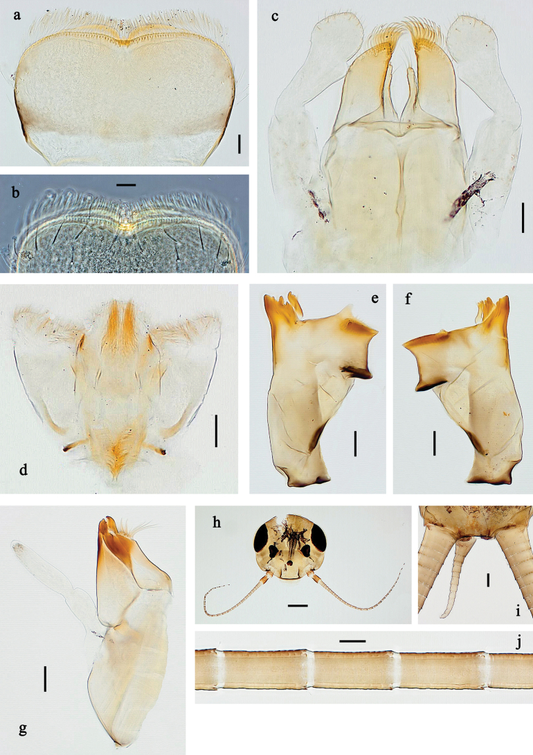 Figure 25