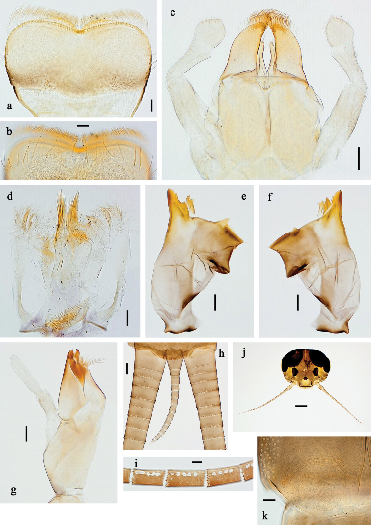 Figure 28
