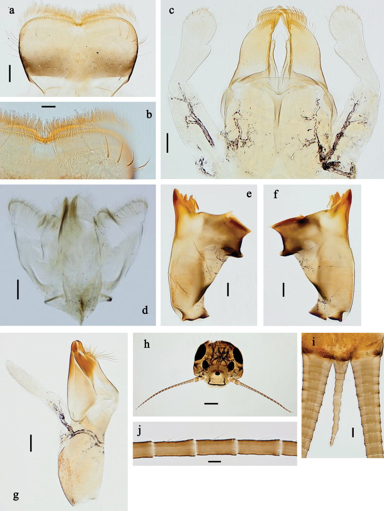 Figure 31