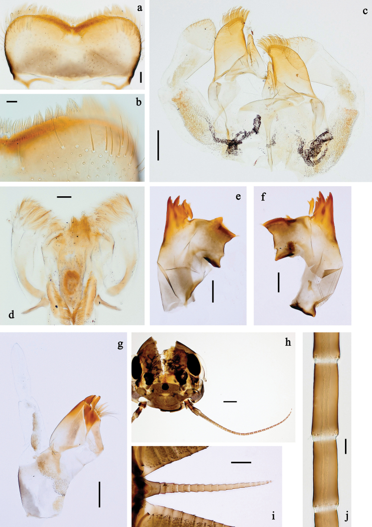 Figure 34