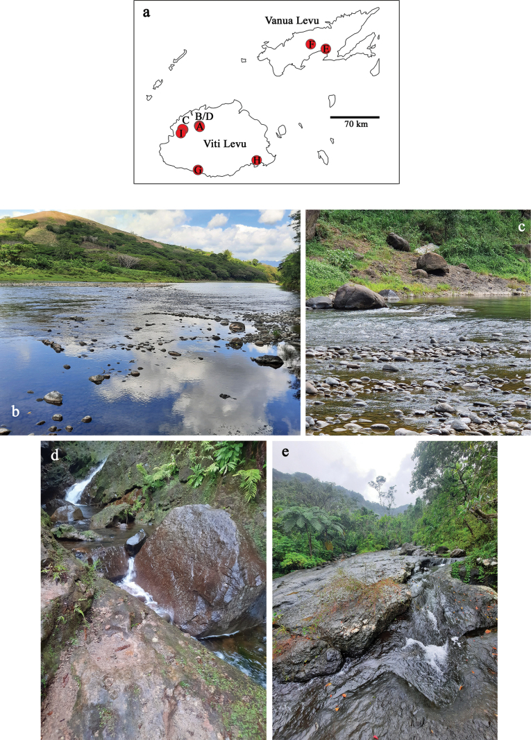 Figure 36