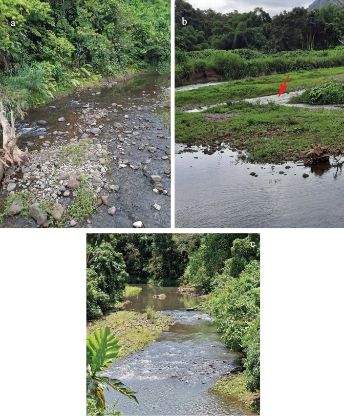 Figure 38