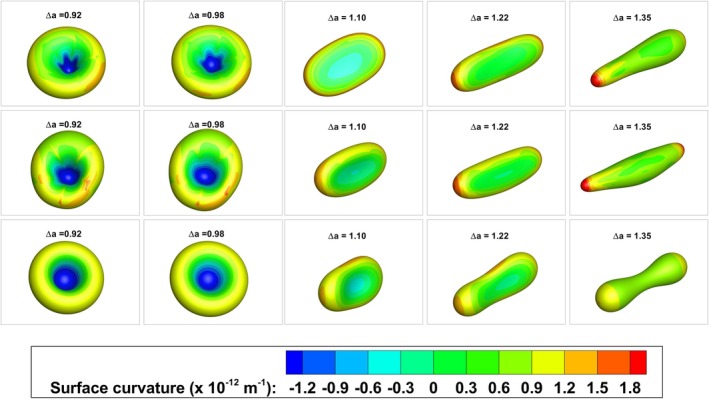 Figure 13
