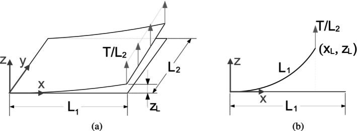 Figure 21