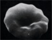 Figure 43
