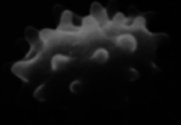 Figure 45