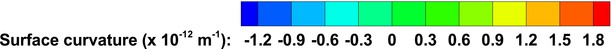 Figure 48