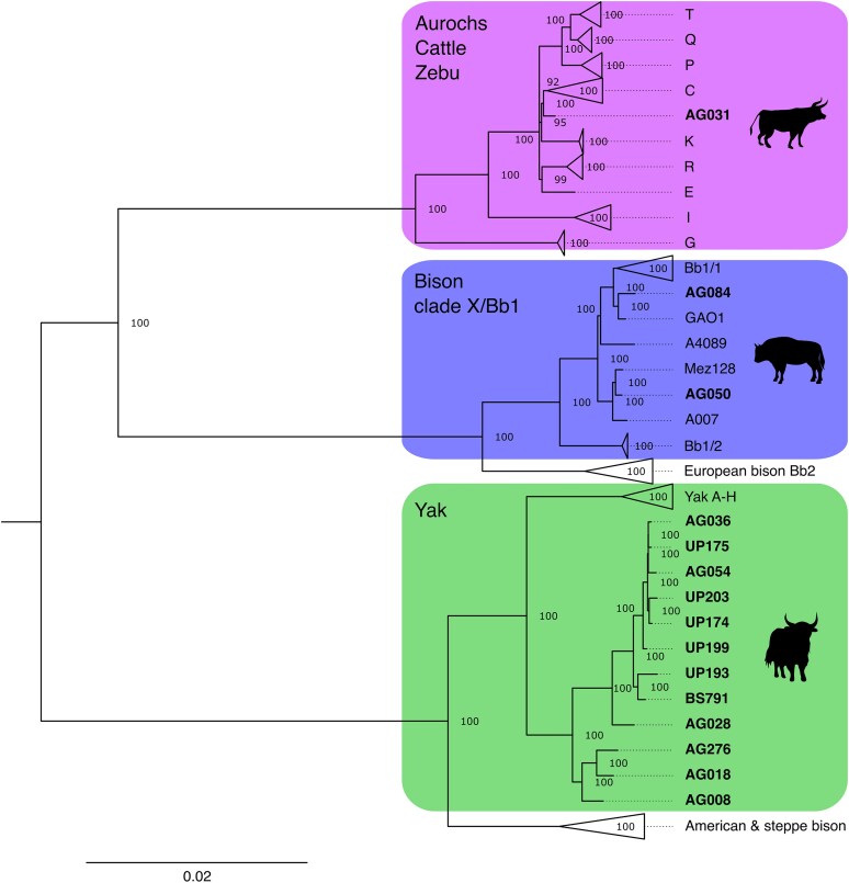Figure 2