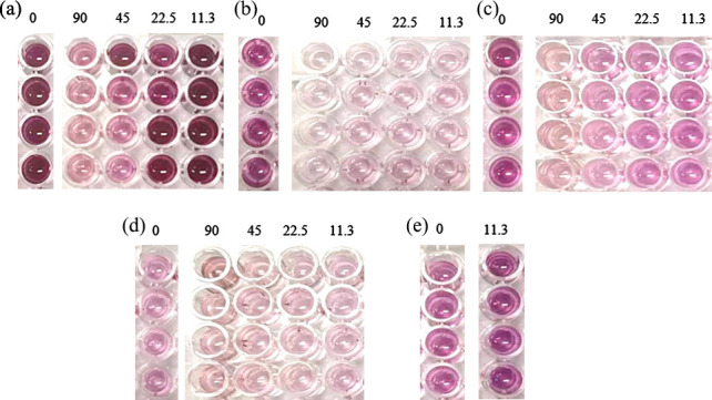 Figure 5
