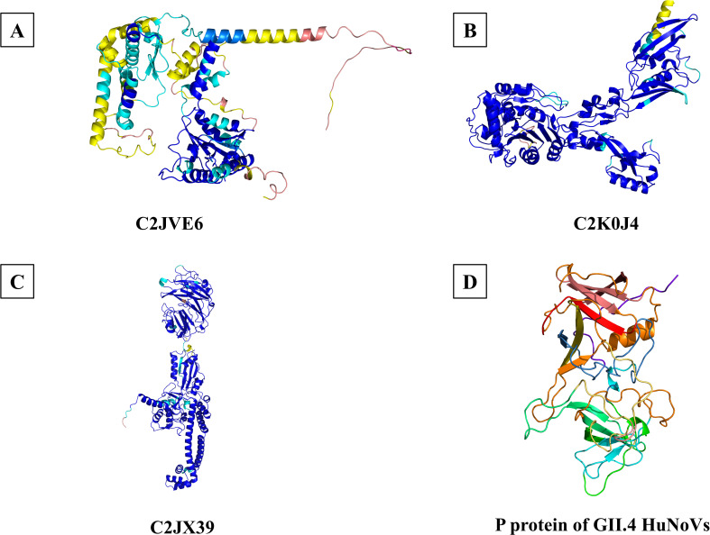 Figure 5